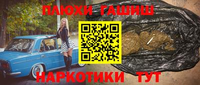 сатива Славгород