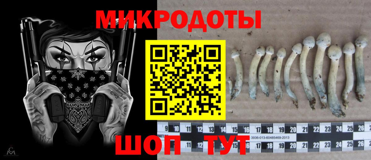 Саранск  Псилоцибиновые грибы Psilocybe  Псилоцибиновые грибы Magic Shrooms  Вход с VPN 